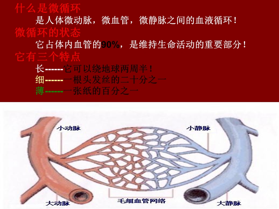 微循环生命通道培训ppt课件.ppt_第3页