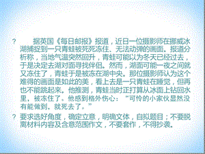 摄影师与青蛙 作文讲评课件.ppt