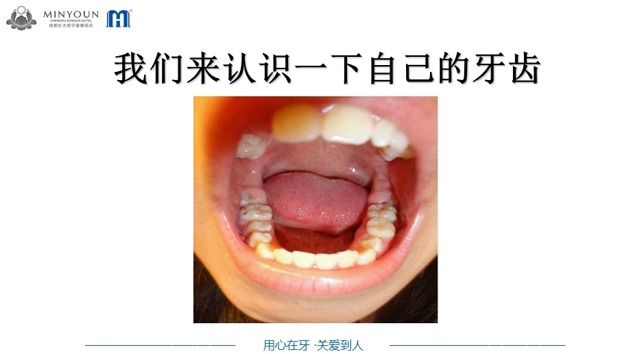 小小牙医宣讲培训ppt课件.ppt_第3页