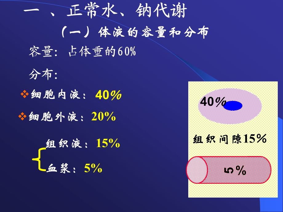 水电解质紊乱水钠 课件.ppt_第2页