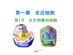 第一节从生物圈到细胞--ppt课件.ppt