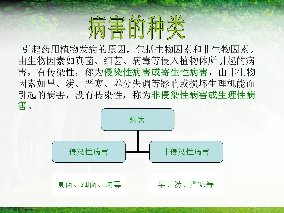 园林树木病虫害防治.ppt_第3页