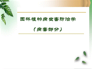 园林病虫害防治.ppt