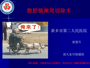 腹腔镜阑尾切除术优势ppt课件.ppt