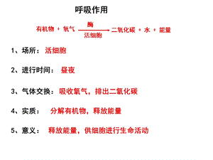 光合作用第1第课时第2课时浙教版科学八年级下ppt课件.ppt