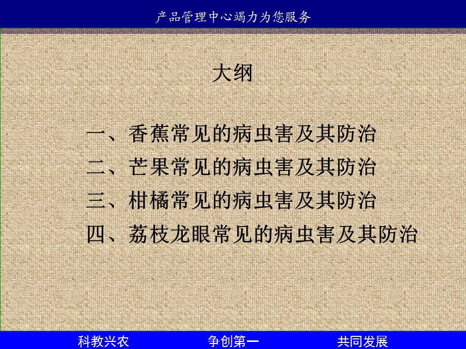 南方果树常见病虫害防治.ppt_第2页