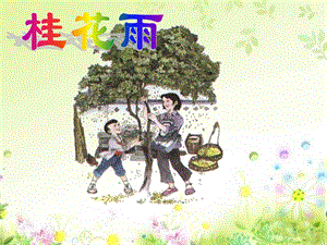 桂花雨-PPT课件.ppt