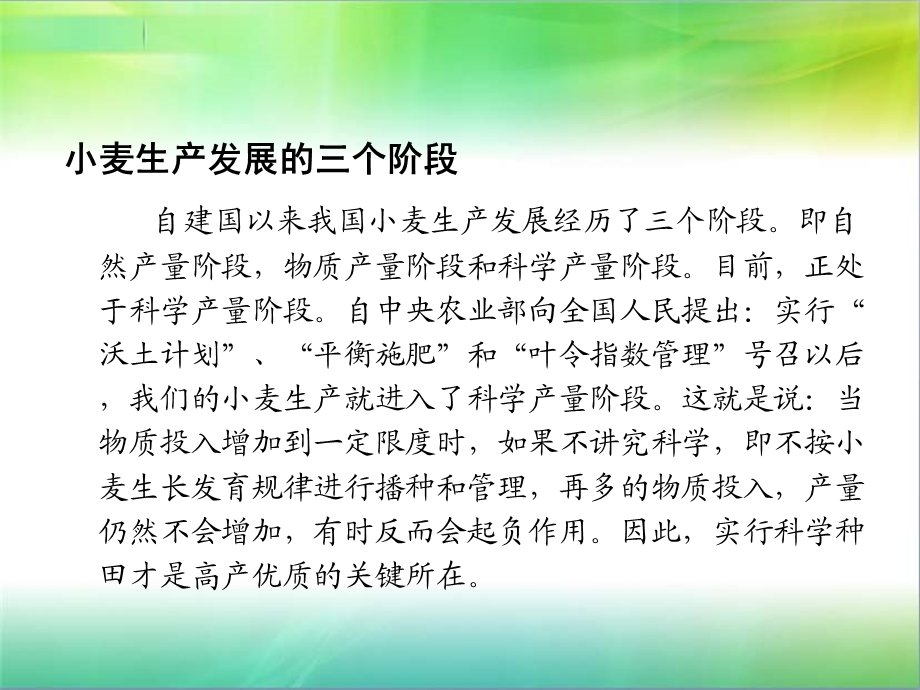 小麦高产栽培技术.ppt_第1页