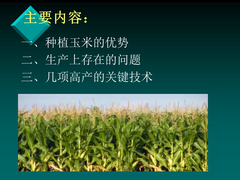 夏玉米栽培技术.ppt_第2页