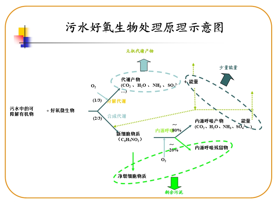 实验四-活性污泥性能ppt课件.ppt_第3页