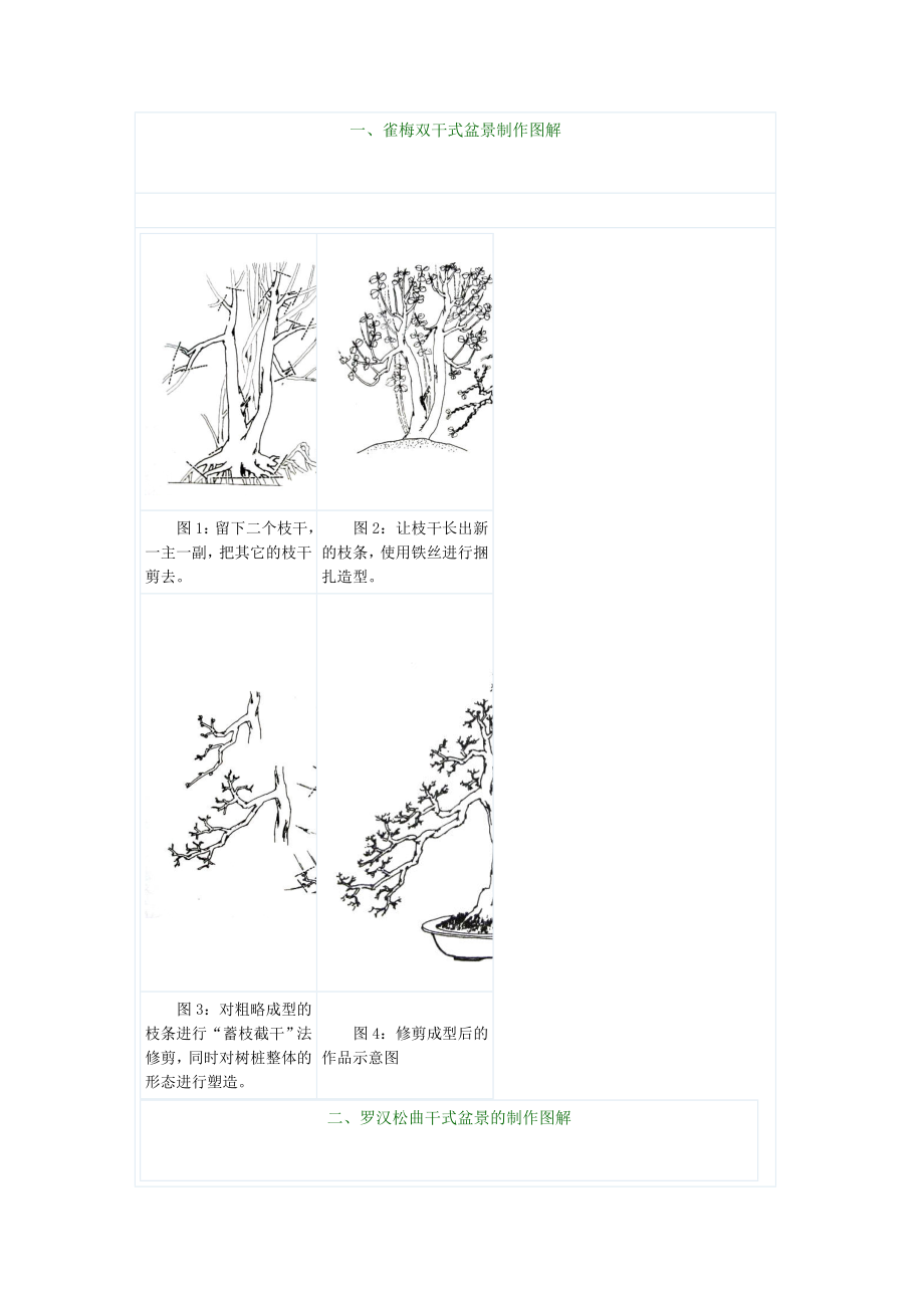 树桩盆景制作图解.doc_第1页