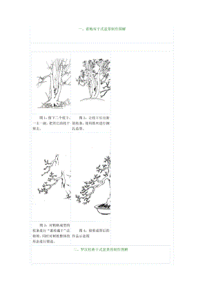 树桩盆景制作图解.doc