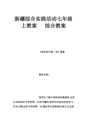 新疆综合实践活动七级上教案 综合教案.doc