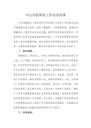 中心学校体育工作自评结果.docx