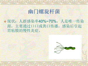 幽门螺旋杆菌治疗最新指南.ppt