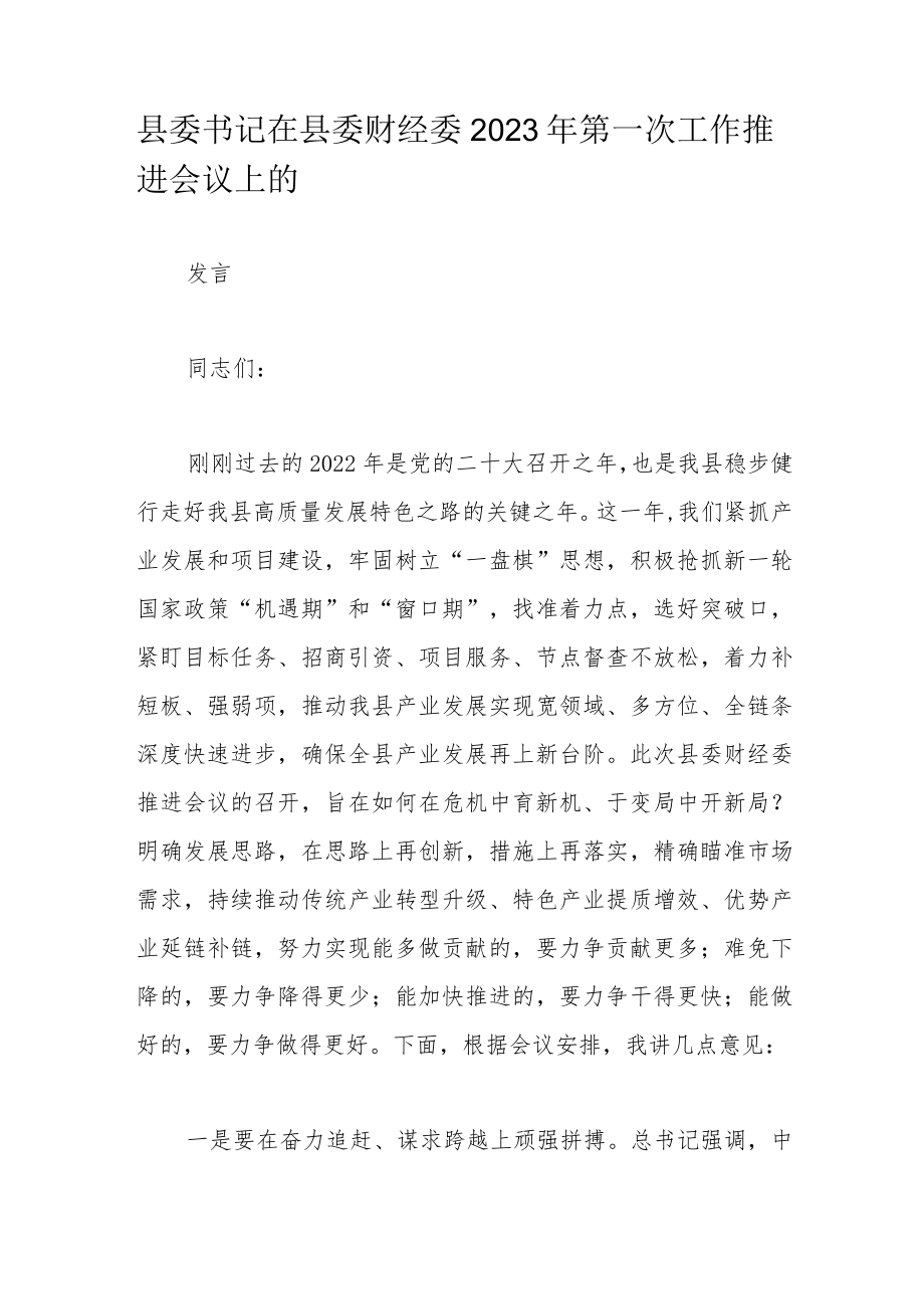 县委书记在县委财经委2023年第一次工作推进会议上的.docx_第1页