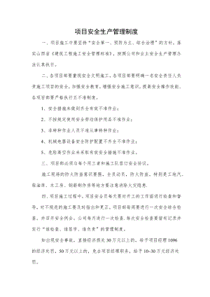 项目安全生产管理制度.docx