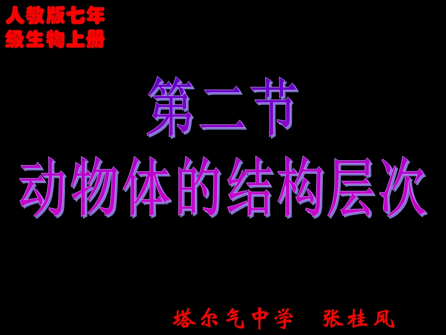 第二节--动物体的结构层次ppt课件.ppt_第1页