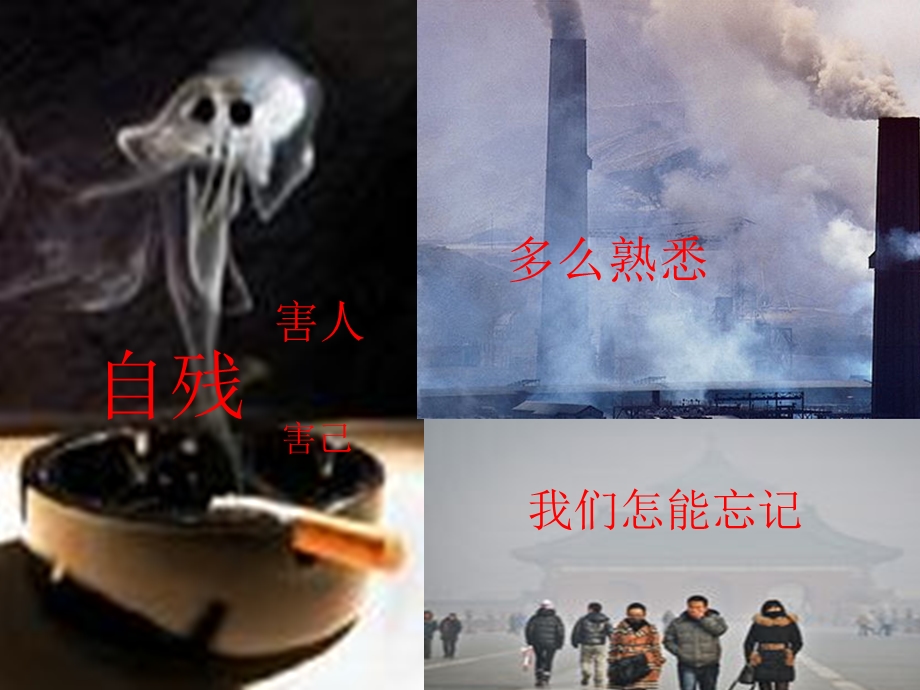 慢性肺部疾病健康教育.ppt_第3页