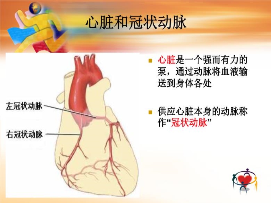 冬季心血管病的防治-PPT课件.ppt_第2页