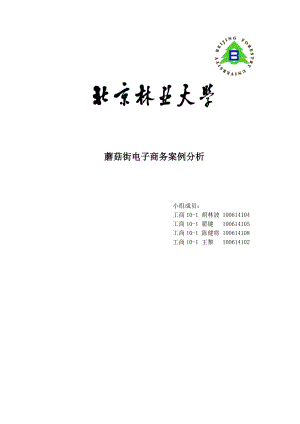 蘑菇街电子商务案例分析报告最终版.doc