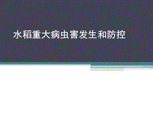 水稻病虫害培训.ppt