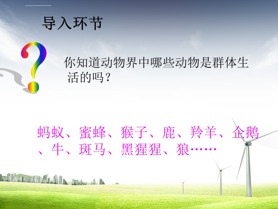 第三节-社会行为ppt课件.ppt_第2页