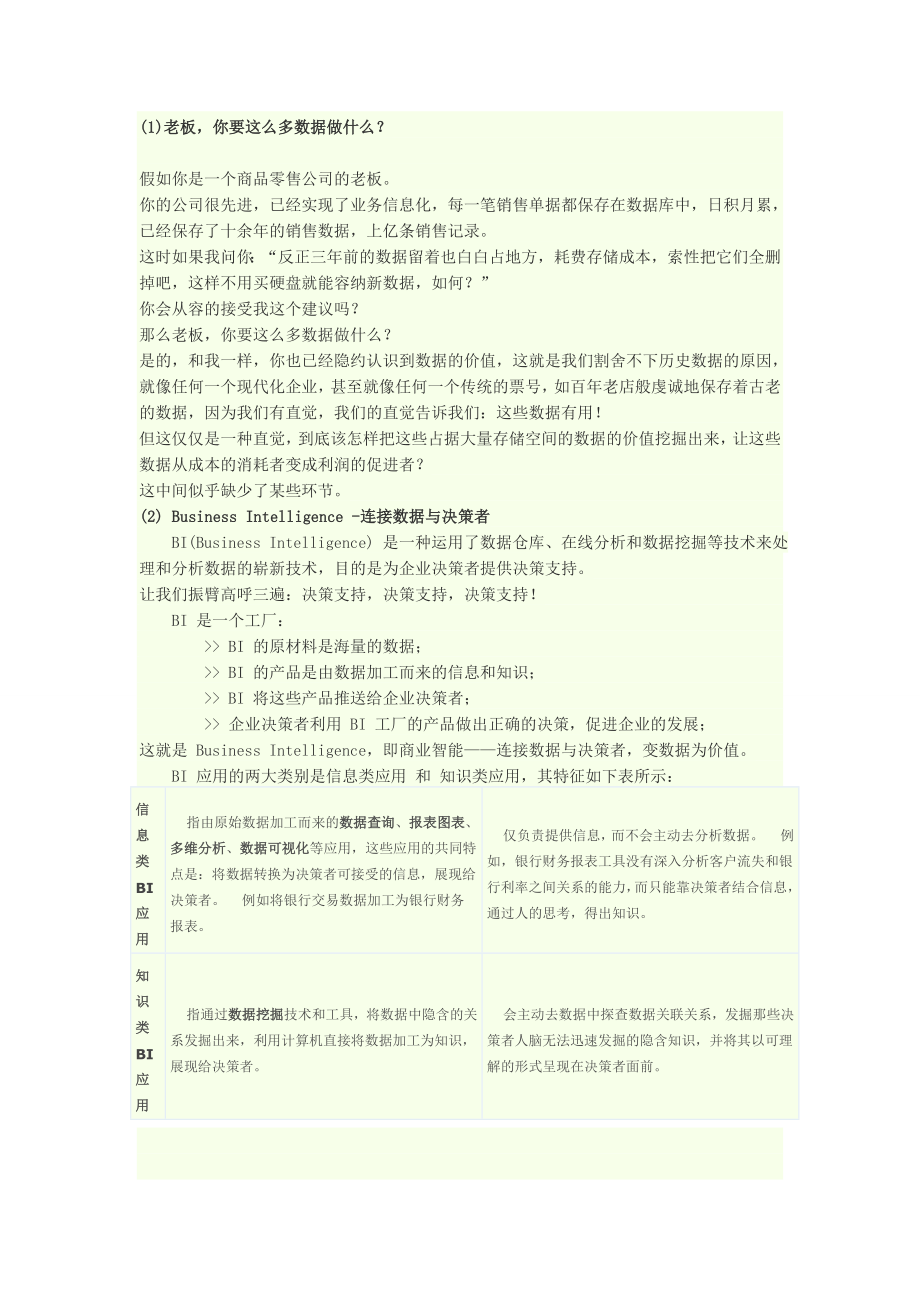 什么是BI.doc_第1页