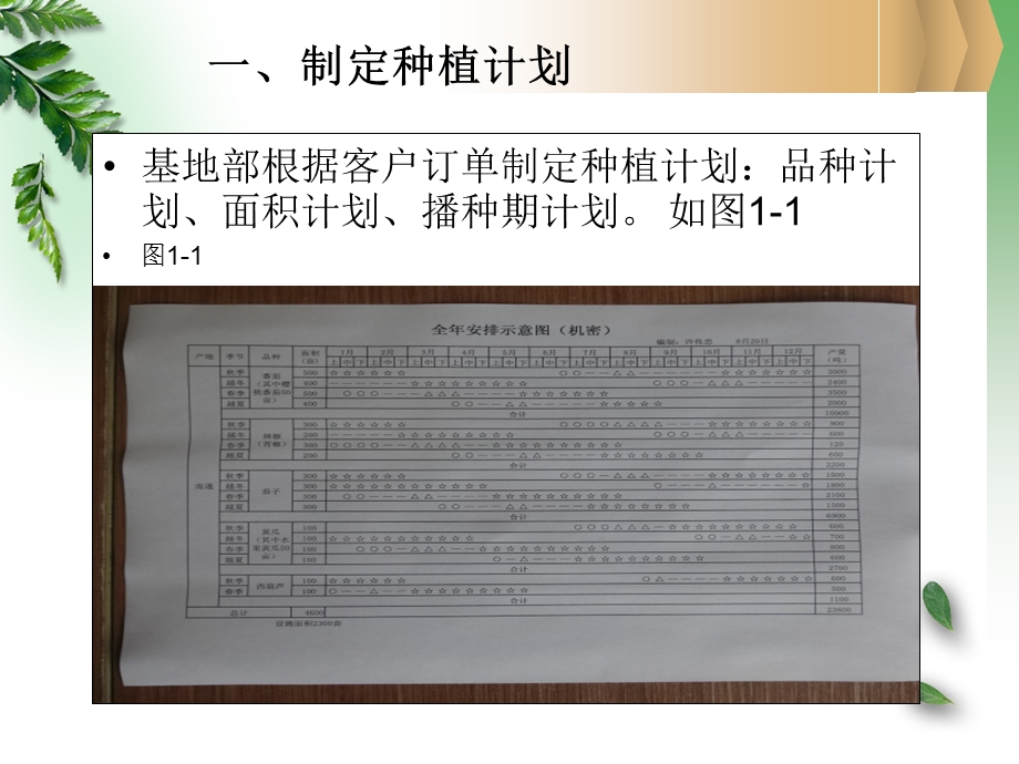 樱桃番茄栽培技术.ppt_第3页