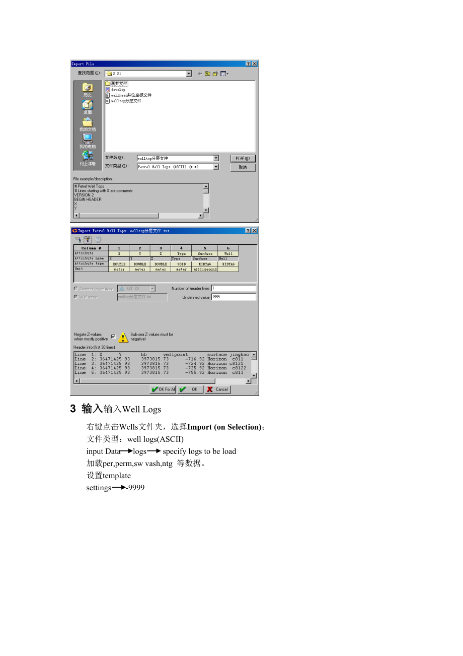 Petrel建模教程真正实用精简.doc_第3页