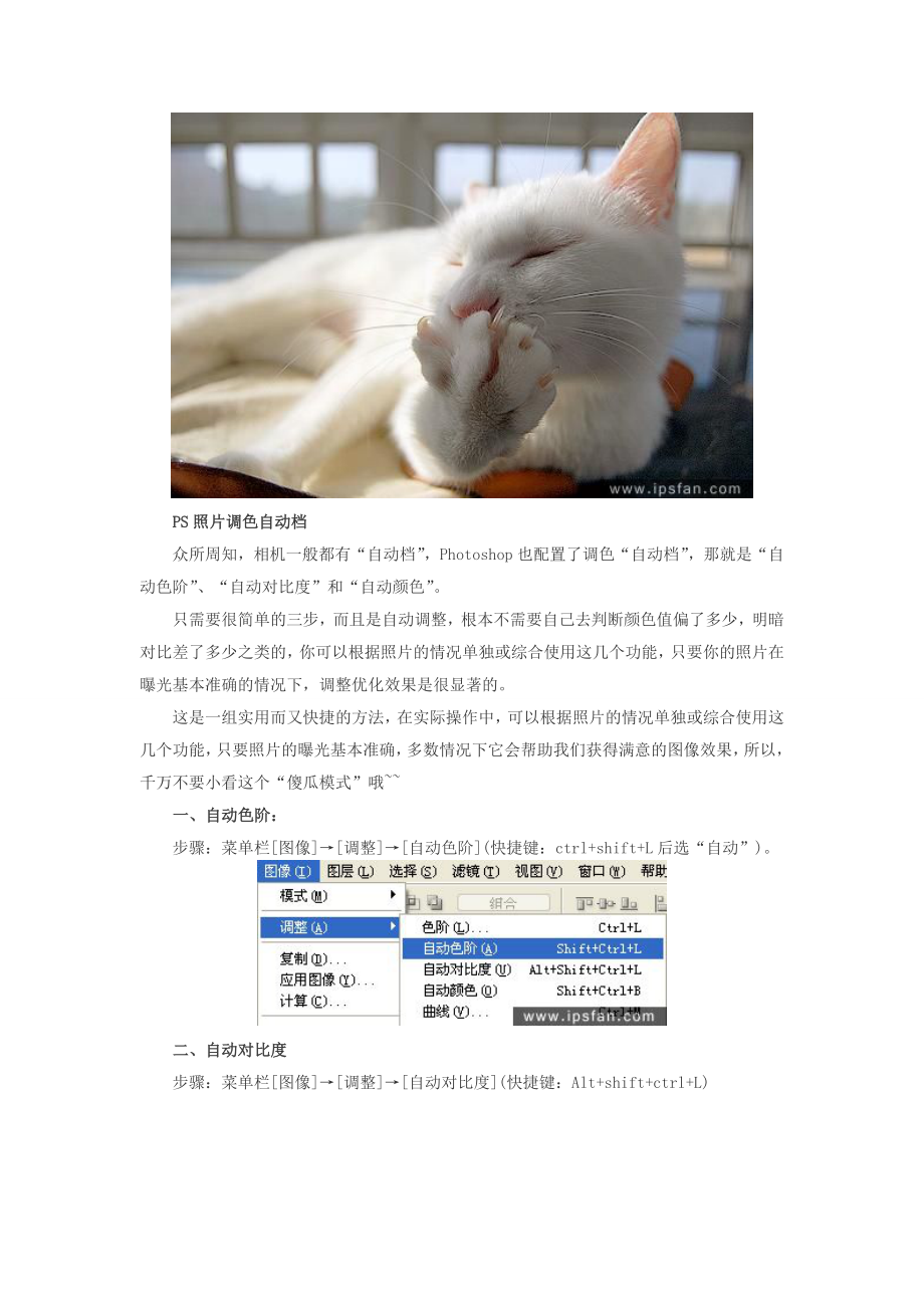 PHOTOSHOP调色教程贵阳新华自动色阶、自动对比度和自.doc_第3页