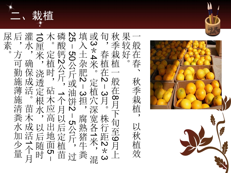 柑橘栽培技术管理.ppt_第3页