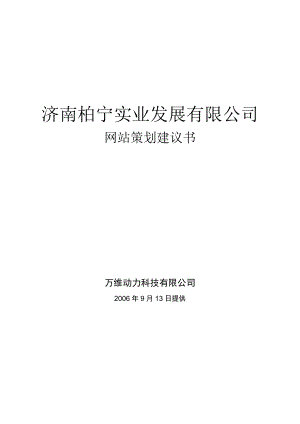 柏宁网站策划网站策划建议书.doc