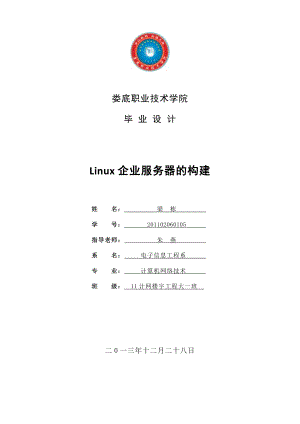 Linux企业服务器的构建毕业设计.doc