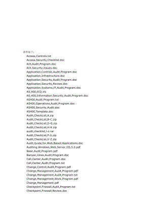 精品IT Audit CheckList.doc