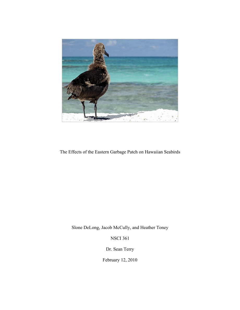 Final PaperSeabird Group.doc_第1页