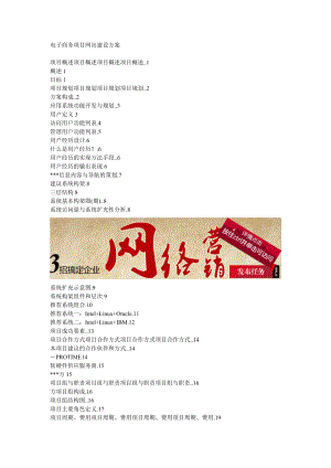 电子商务项目网站建设方桉.doc