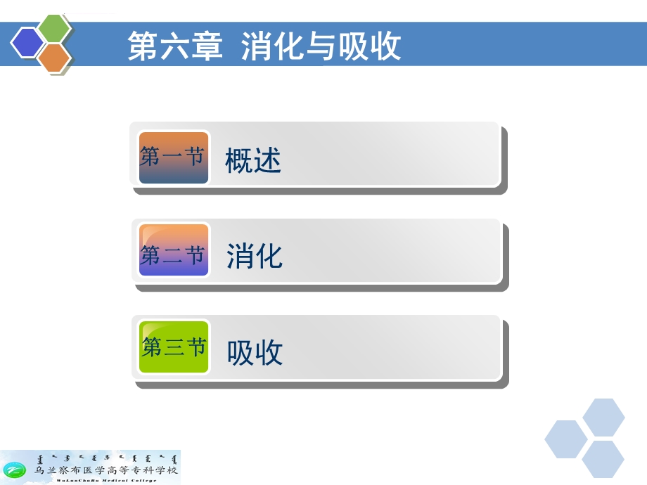 生理学--第六章-消化与吸收ppt课件.ppt_第2页