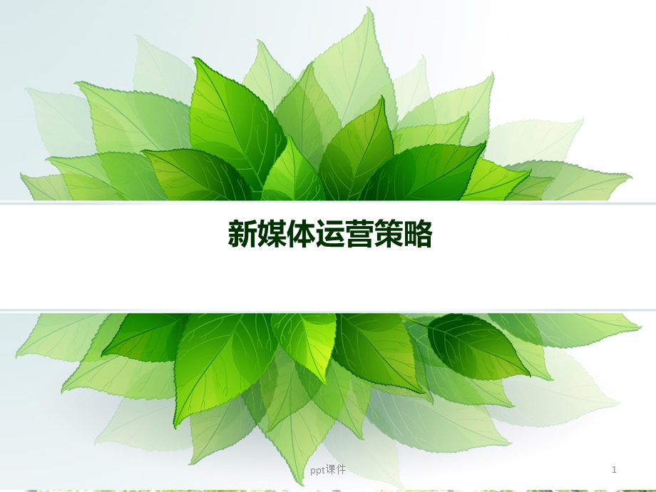 新媒体运营方案--ppt课件.ppt_第1页