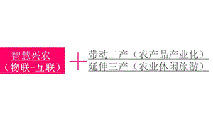 智慧兴农（农业观光园智慧化解决方案）ppt课件.pptx