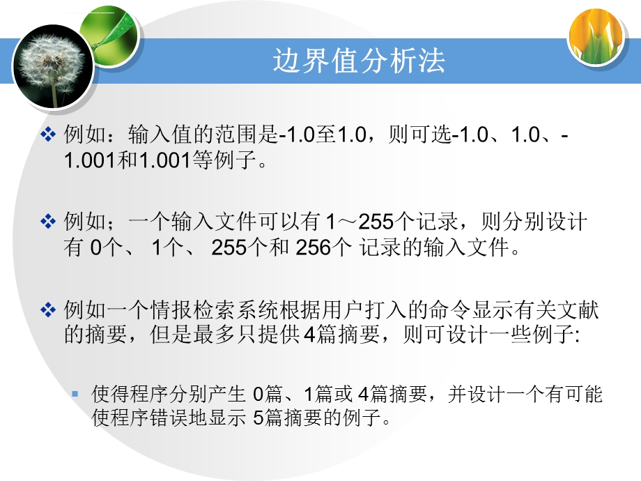 黑盒测试课件.ppt_第2页