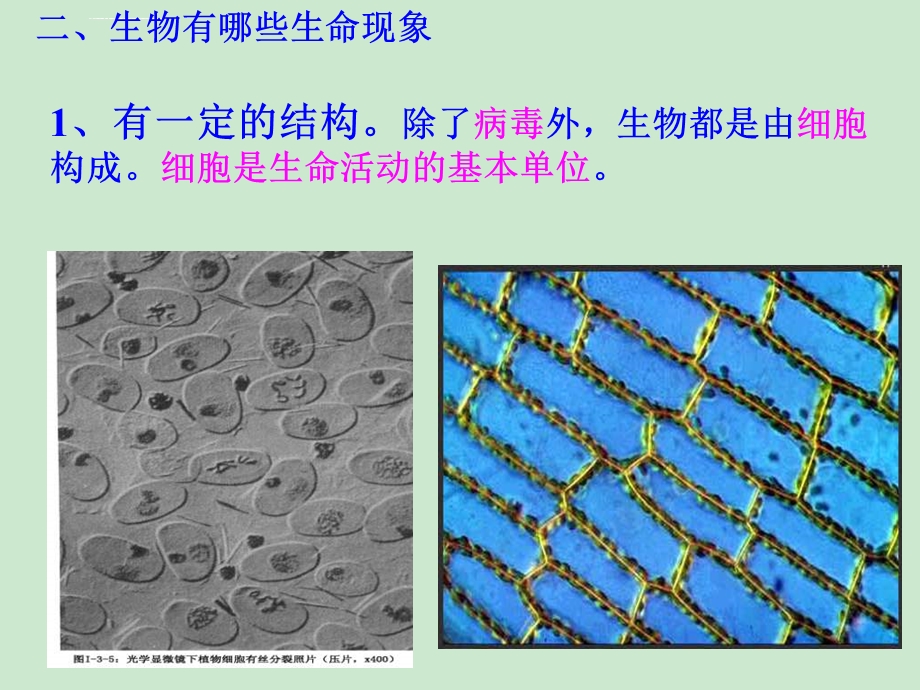 《我们周围的生物》课件.ppt_第2页