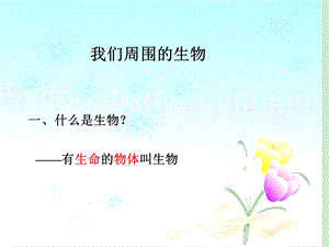 《我们周围的生物》课件.ppt