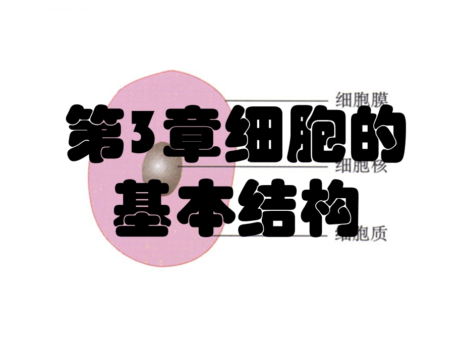 必修一第三章第1节细胞膜系统的边界精品课件（公开课）.ppt_第1页