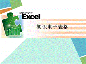 《初识电子表格Excel》课件.ppt