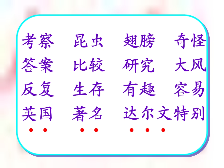 《趣的发现》教学课件.ppt_第2页