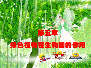 《绿色植物在生物圈中的作用》教学课件6-冀教版.ppt