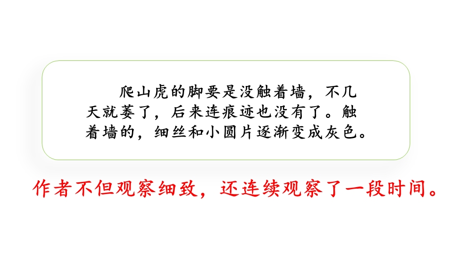 部编本人教版四年级上册语文语文园地三课件.pptx_第3页