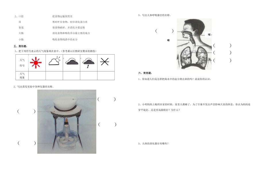 教科版小学科学四级上册期末试题2.doc_第2页