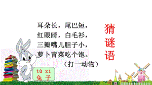 比尾巴省优获奖课件.ppt